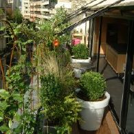 amenagements terrasse et balcon